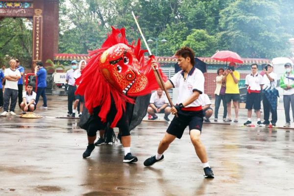 參與麻豆香的麻豆紀安宮金獅陣，相當有文化特色。（取材自臺南市政府網站）