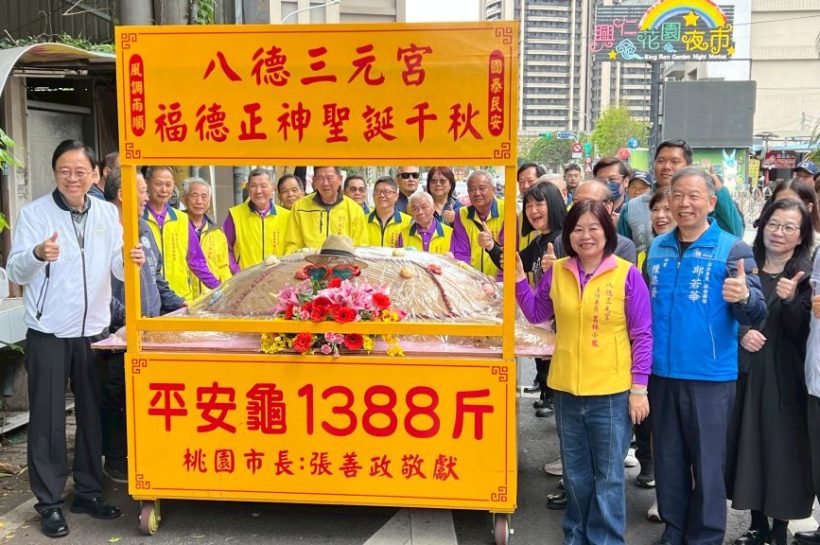 八德祈龜文化薪傳　1,388斤的大米糕龜結合創意發揚傳統