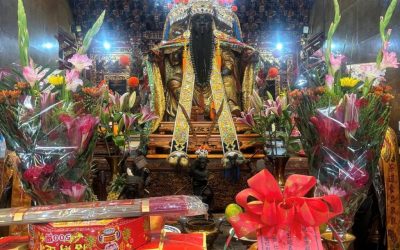 四聯境普濟殿網住「鳳凰城」臺南 府城最早的王爺廟